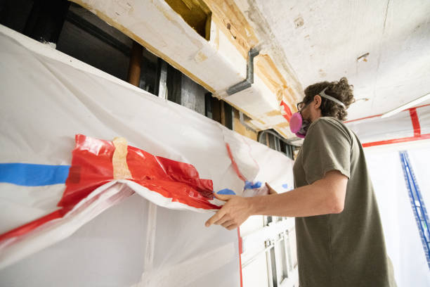 Best Basement Mold Removal  in Headland, AL
