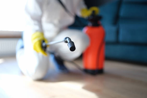 Best Crawl Space Mold Remediation  in Headland, AL